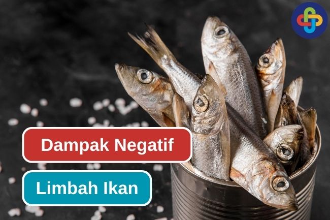 Inilah 4 Dampak Limbah Ikan Terhadap Lingkungan